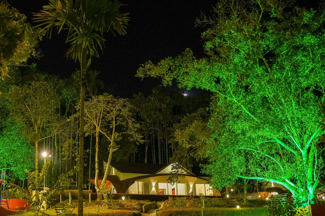 Forest Retreat by Night Wayanad
